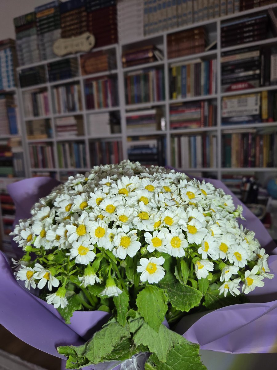 ehlavera's tweet photo. Nisan 💚 https://t.co/03yvf1GfMF
