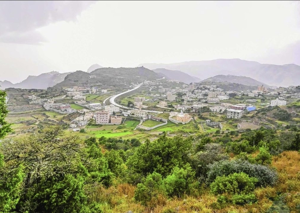 نواف العريج tweet media