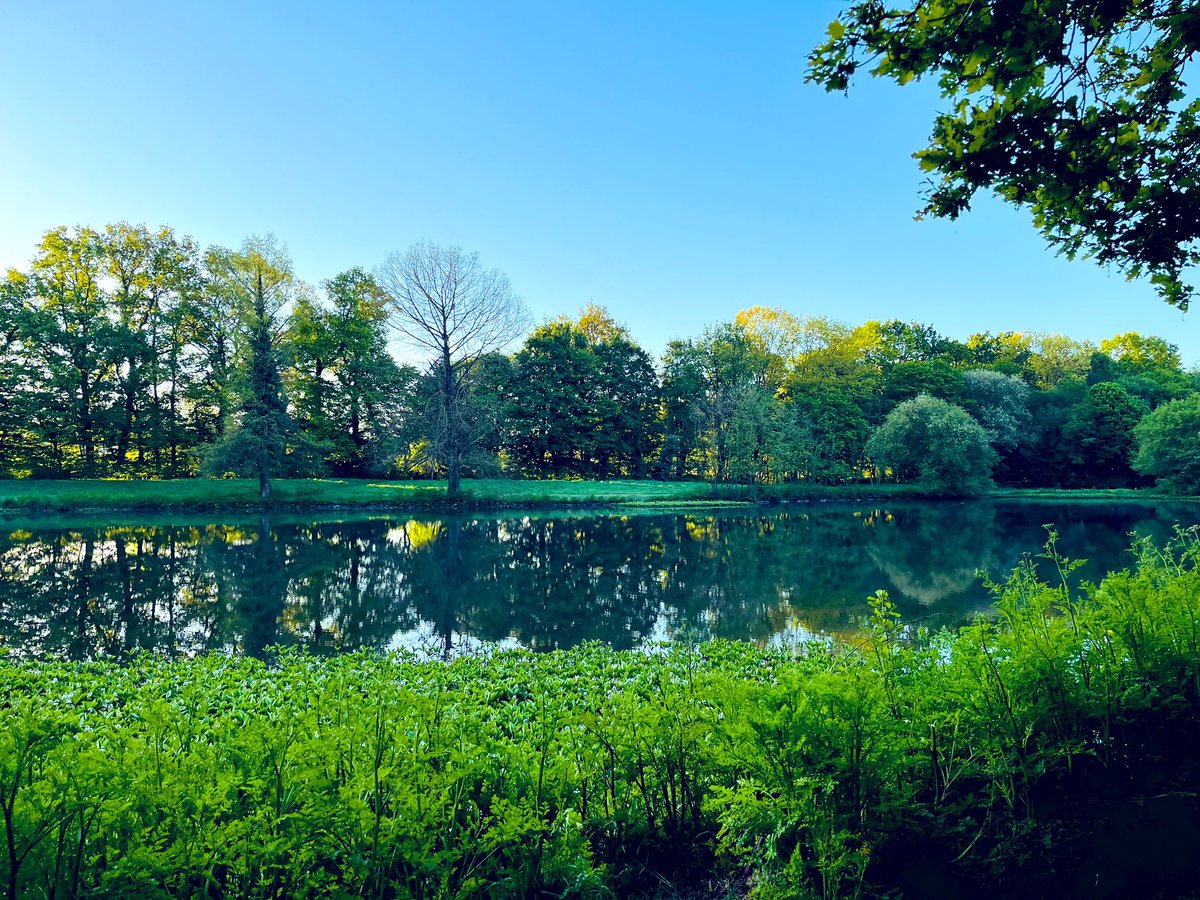 cosmoslitterair's tweet photo. Le lac

« Ainsi, toujours poussés vers de nouveaux rivages,
Dans la nuit éternelle emportés sans retour,
Ne pourrons-nous jamais sur l'océan des âges
Jeter l'ancre un seul jour ?

Ô lac ! l'année à peine a fini sa carrière,
Et près des flots chéris qu'elle devait revoir,
Regarde ! je viens seul m'asseoir sur cette pierre
Où tu la vis s'asseoir !

Tu mugissais ainsi sous ces roches profondes,
Ainsi tu te brisais sur leurs flancs déchirés,
Ainsi le vent jetait l'écume de tes ondes
Sur ses pieds adorés.

Un soir, t'en souvient-il ? nous voguions en silence ;
On n'entendait au loin, sur l'onde et sous les cieux,
Que le bruit des rameurs qui frappaient en cadence
Tes flots harmonieux.

Tout à coup des accents inconnus à la terre
Du rivage charmé frappèrent les échos ;
Le flot fut attentif, et la voix qui m'est chère
Laissa tomber ces mots :

" Ô temps ! suspends ton vol, et vous, heures propices !
Suspendez votre cours :
Laissez-nous savourer les rapides délices
Des plus beaux de nos jours !

" Assez de malheureux ici-bas vous implorent,
Coulez, coulez pour eux ;
Prenez avec leurs jours les soins qui les dévorent ;
Oubliez les heureux.

" Mais je demande en vain quelques moments encore,
Le temps m'échappe et fuit ;
Je dis à cette nuit : Sois plus lente ; et l'aurore
Va dissiper la nuit.

" Aimons donc, aimons donc ! de l'heure fugitive,
Hâtons-nous, jouissons !
L'homme n'a point de port, le temps n'a point de rive ;
Il coule, et nous passons ! "

Temps jaloux, se peut-il que ces moments d'ivresse,
Où l'amour à longs flots nous verse le bonheur, 
S'envolent loin de nous de la même vitesse
Que les jours de malheur ?

Eh quoi ! n'en pourrons-nous fixer au moins la trace ?
Quoi ! passés pour jamais ! quoi ! tout entiers perdus !
Ce temps qui les donna, ce temps qui les efface,
Ne nous les rendra plus !

Éternité, néant, passé, sombres abîmes,
Que faites-vous des jours que vous engloutissez ?
Parlez : nous rendrez-vous ces extases sublimes
Que vous nous ravissez ?

Ô lac ! rochers muets ! grottes ! forêt obscure !
Vous, que le temps épargne ou qu'il peut rajeunir,
Gardez de cette nuit, gardez, belle nature,
Au moins le souvenir !

Qu'il soit dans ton repos, qu'il soit dans tes orages,
Beau lac, et dans l'aspect de tes riants coteaux,
Et dans ces noirs sapins, et dans ces rocs sauvages
Qui pendent sur tes eaux.

Qu'il soit dans le zéphyr qui frémit et qui passe,
Dans les bruits de tes bords par tes bords répétés,
Dans l'astre au front d'argent qui blanchit ta surface
De ses molles clartés.

Que le vent qui gémit, le roseau qui soupire,
Que les parfums légers de ton air embaumé,
Que tout ce qu'on entend, l'on voit ou l'on respire,
Tout dise : Ils ont aimé » !

Alphonse de Lamartine