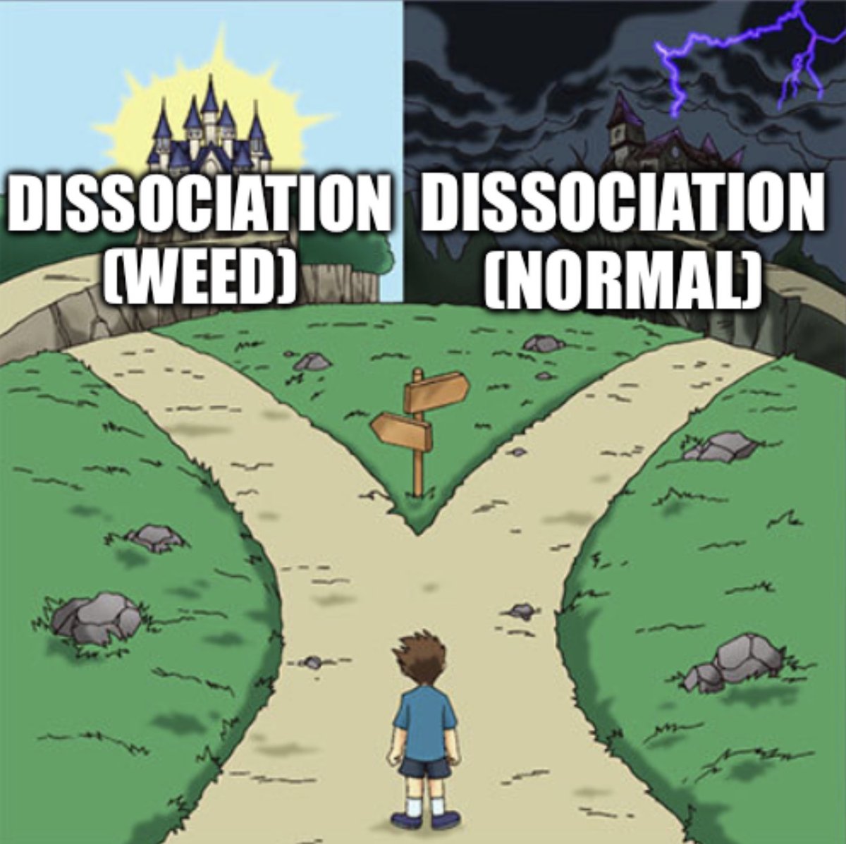 lobotomized insect tweet media