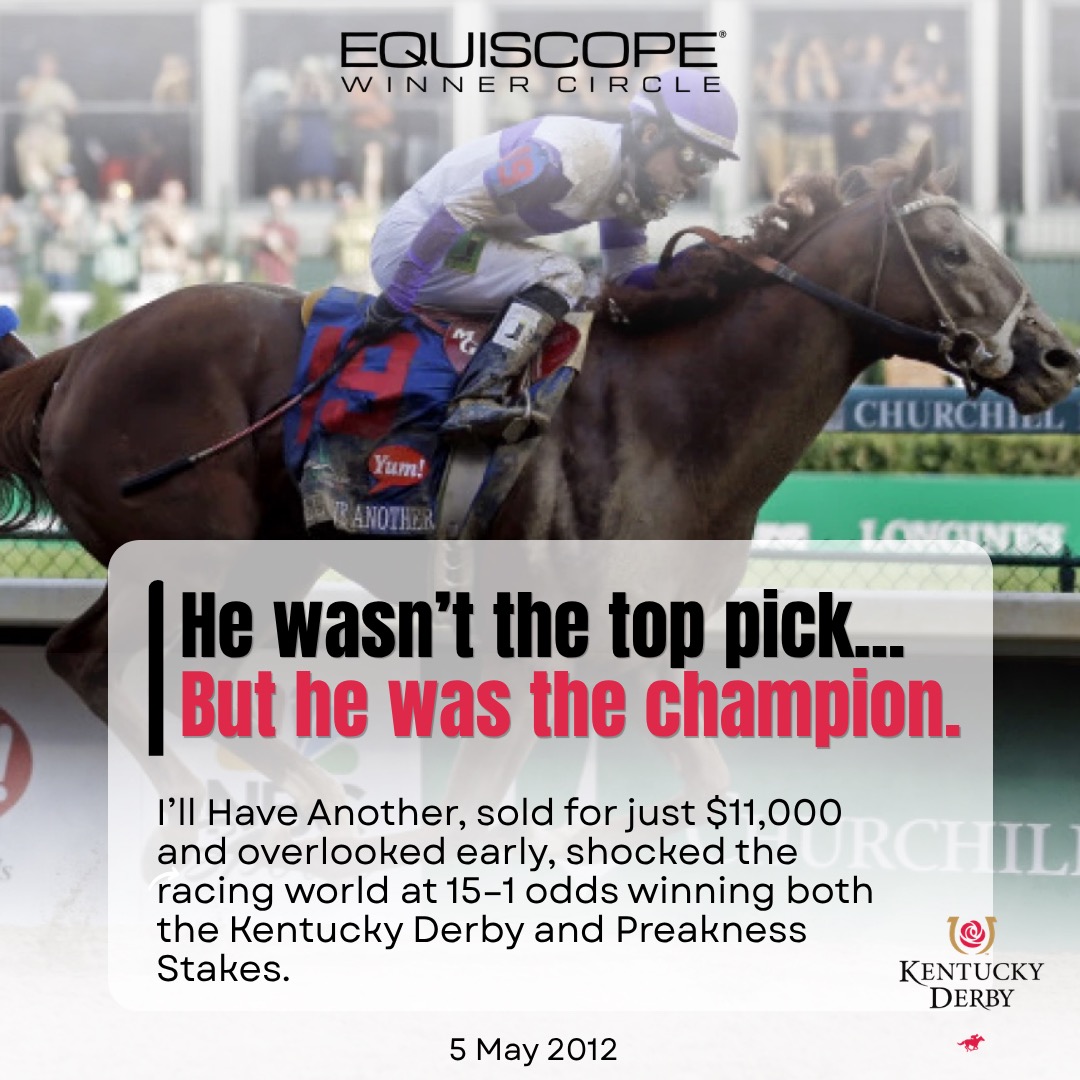 Equiscope Performance tweet media