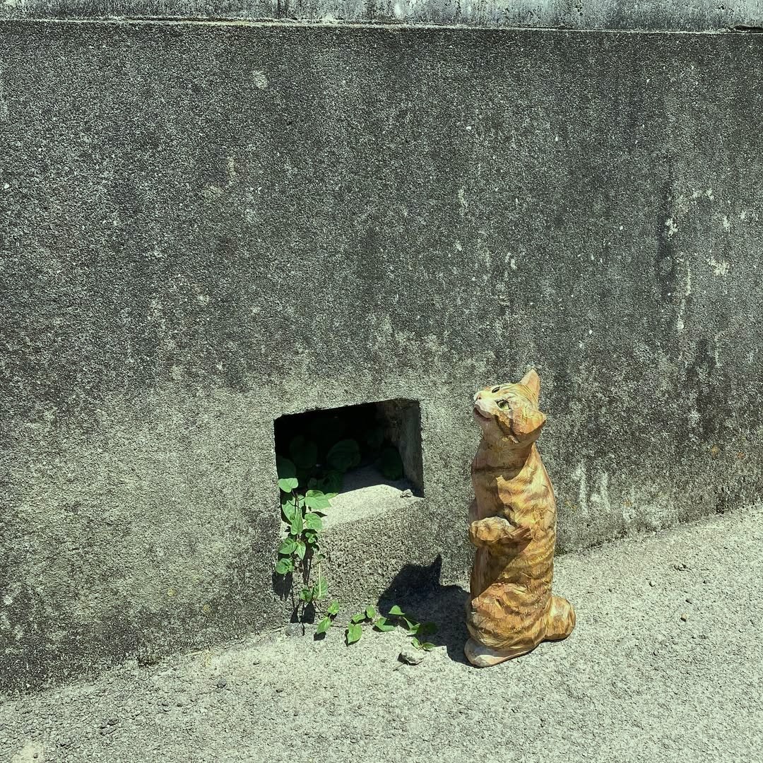 May joy endure indefinitely.