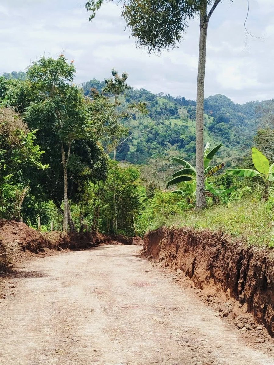 Acontecer Nica 🇳🇮 tweet media