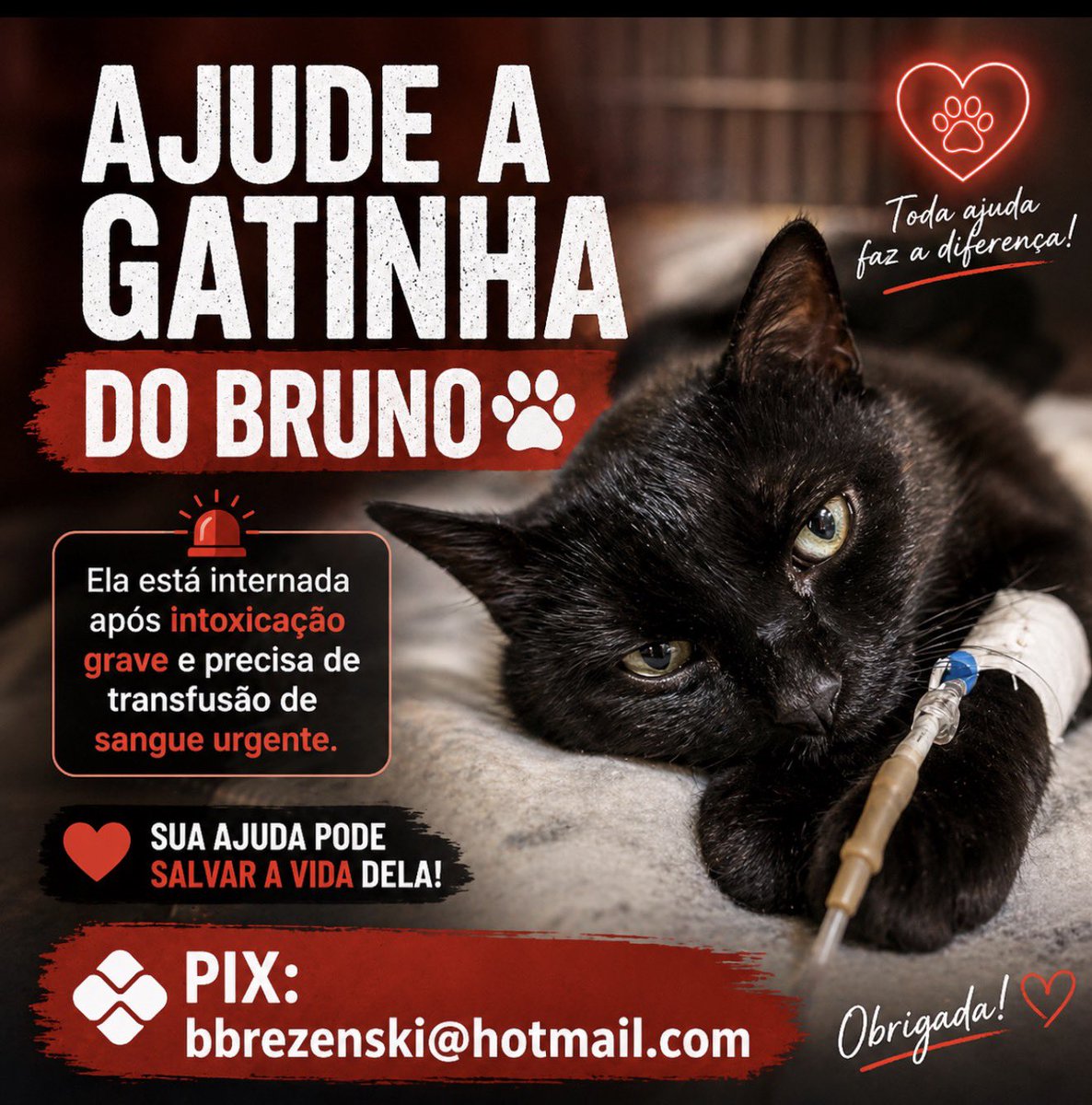 Beta Bastos tweet media