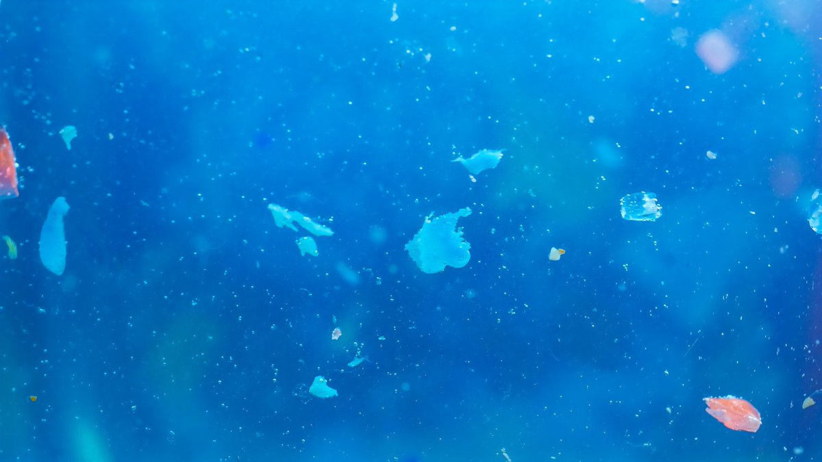 EcoTech2026's tweet image. Microplastics are already in our water.

Most solutions are complex, expensive, and inaccessible to many communities.

That's the problem we are solving.

Not just filtration.

Access.

#WaterCrisis #EcoTech
#EcoDrop #Africa