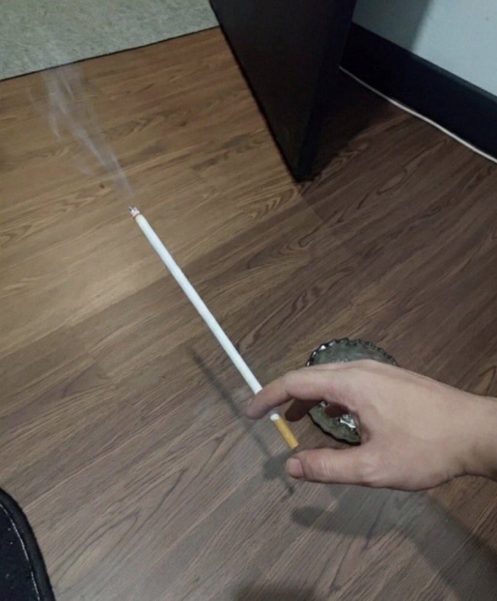 rudi🐜 tweet media