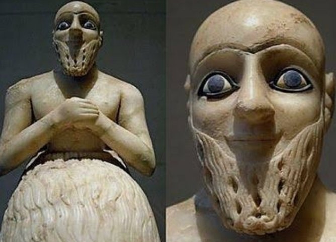 حرق🇸🇾 tweet media