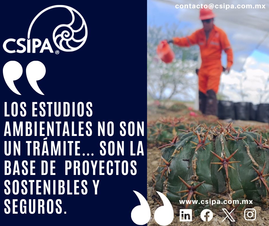 CSIPA tweet media