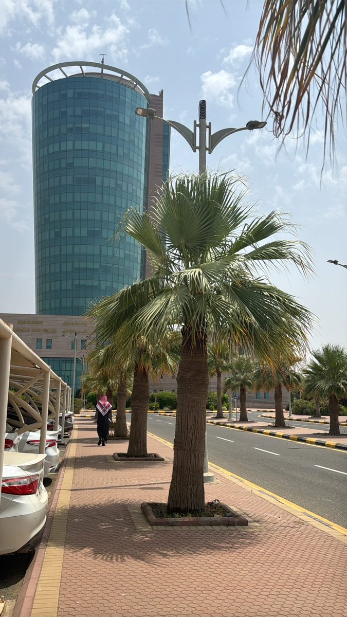 محمد عريجـي ⚖️ tweet media
