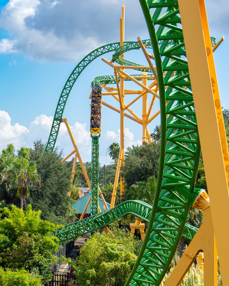 amusementhunt's tweet image. Craving a climb up the yellow tree again. Cheetah Hunt @BuschGardens September 2024. #rollercoaster #buschgardens #buschgardenstampabay