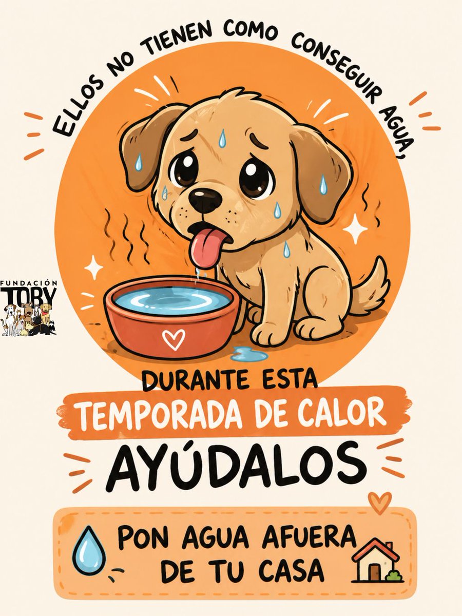 Fundación Toby tweet media