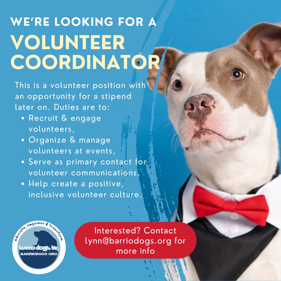 Barrio Dogs, Inc. tweet media
