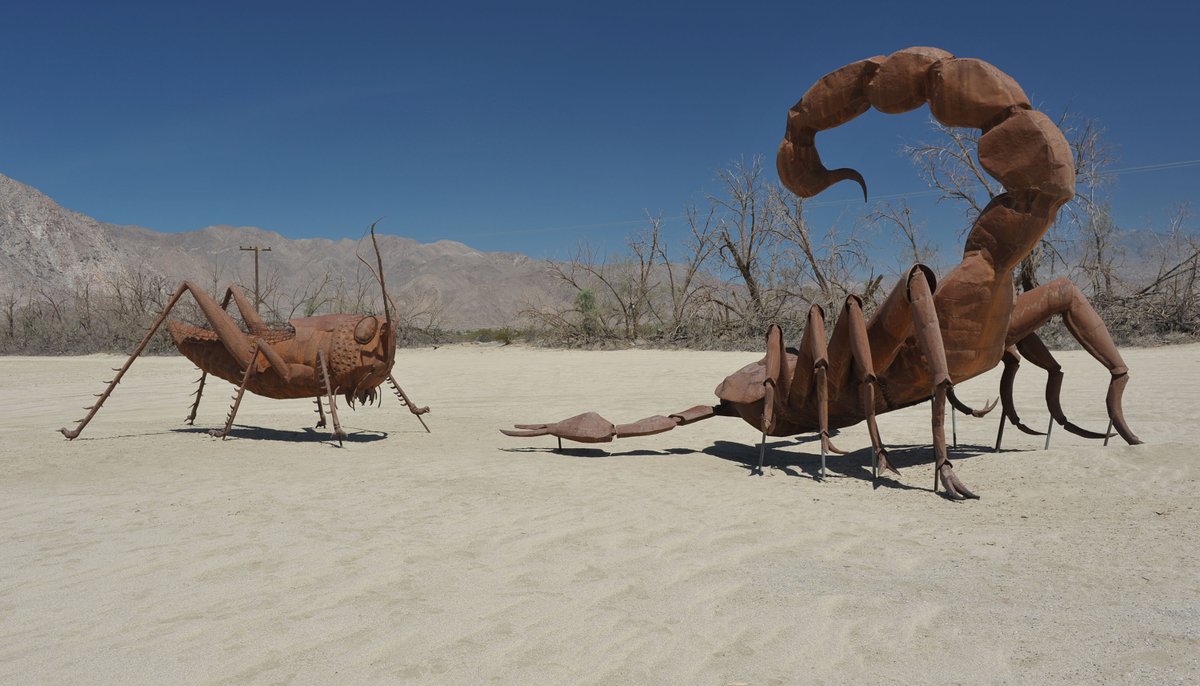 SilverBirchPres's tweet image. "Standoff, poem by Vince Gotera @RicardoABreceda @AnzaBorregoPark  (BUGS &amp;amp; INSECTS Series): silverbirchpress.wordpress.com/2026/04/29/sta…
#poetry #poems #poets #art #sculpture #anzaborrego