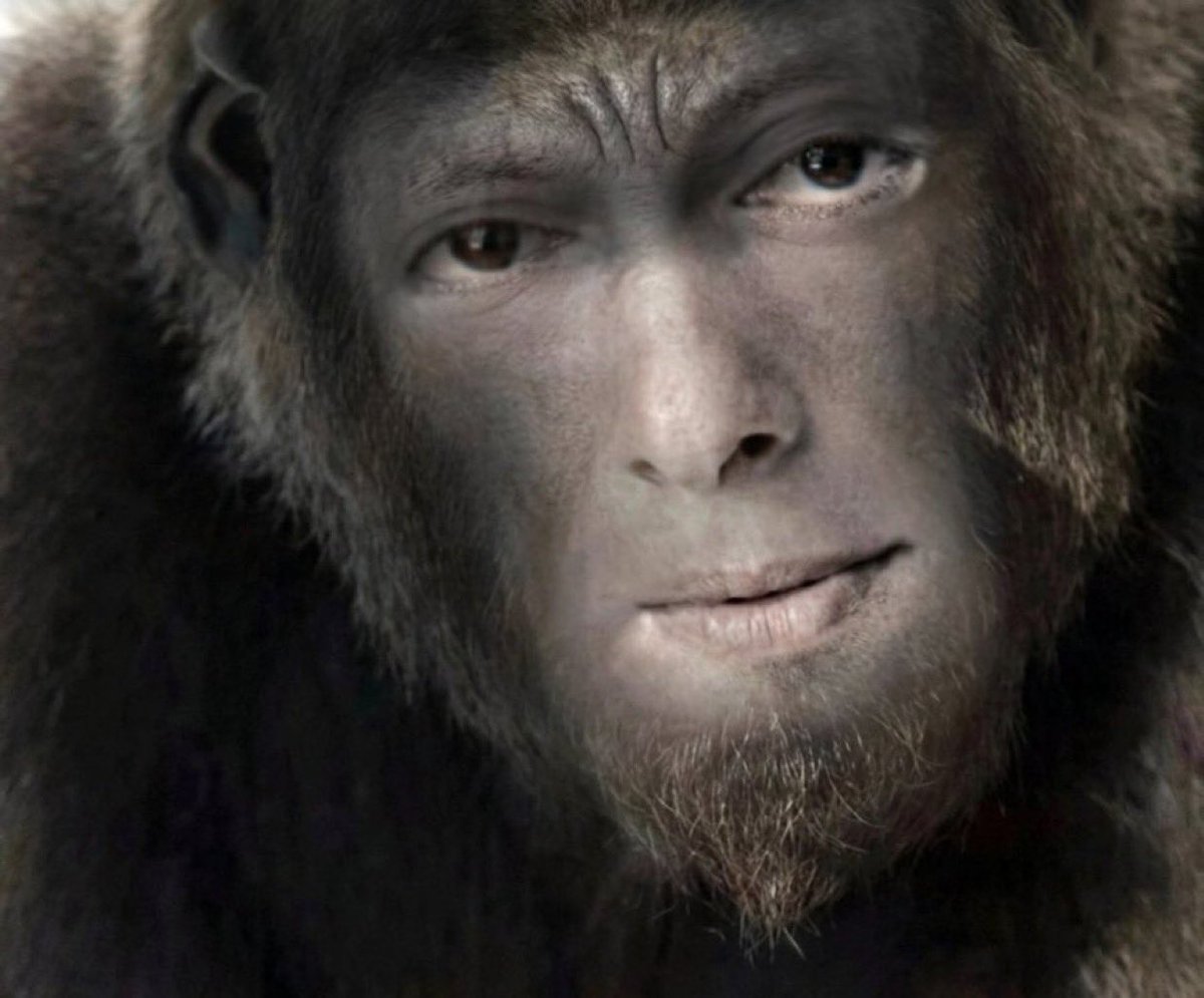 Junaid Khan tweet media