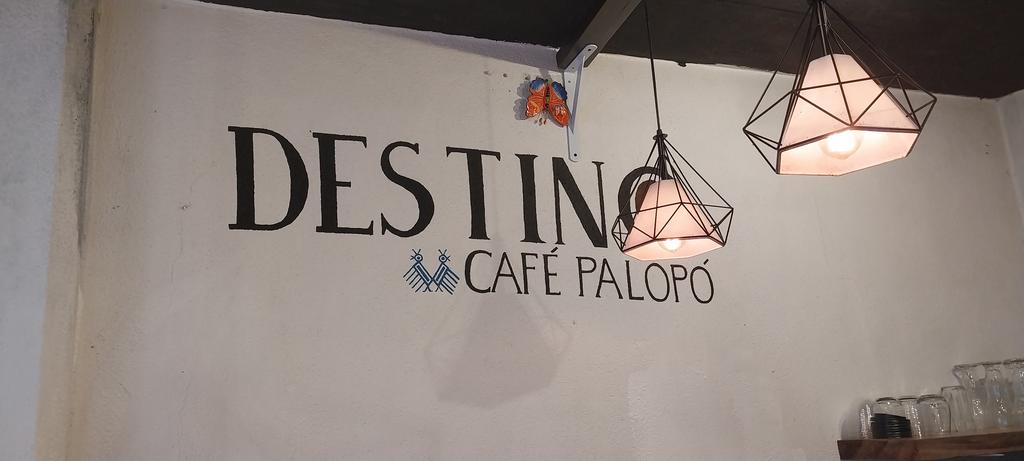 JUN_AJPU_btc's tweet photo. Time to read with @BernabeuAdrian in #cafepalopo https://t.co/8ufrPyetUN