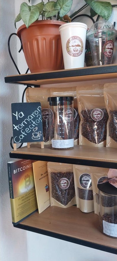 JUN_AJPU_btc's tweet photo. Time to read with @BernabeuAdrian in #cafepalopo https://t.co/8ufrPyetUN