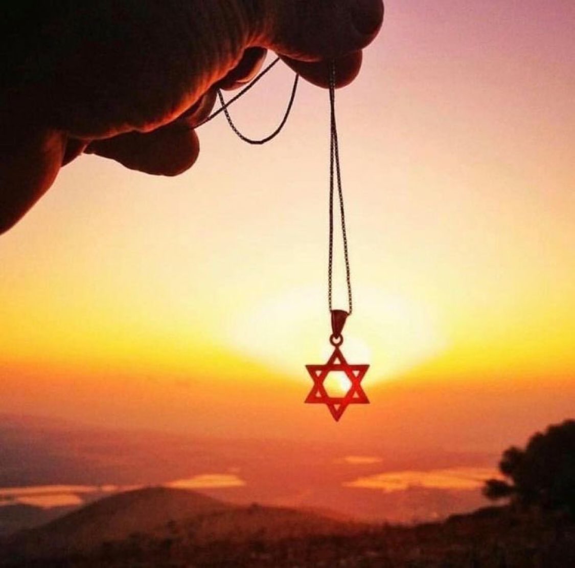 Maya 🇮🇱 tweet media