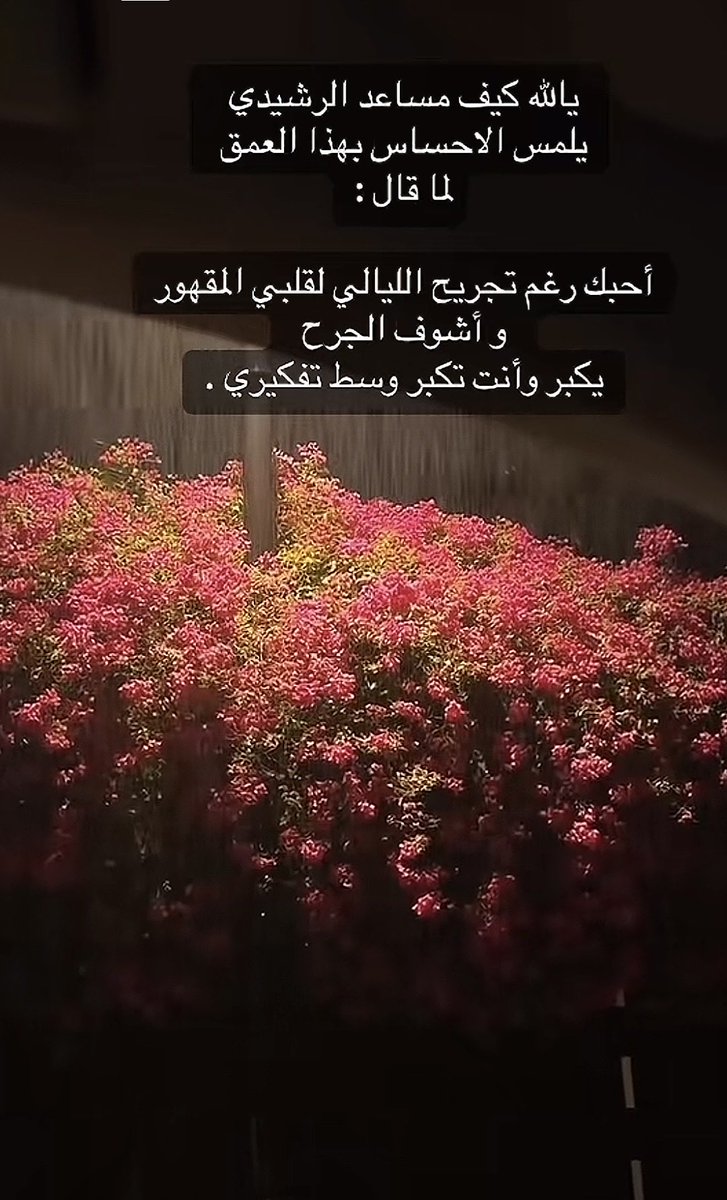 ســ🤍ـــاره tweet media