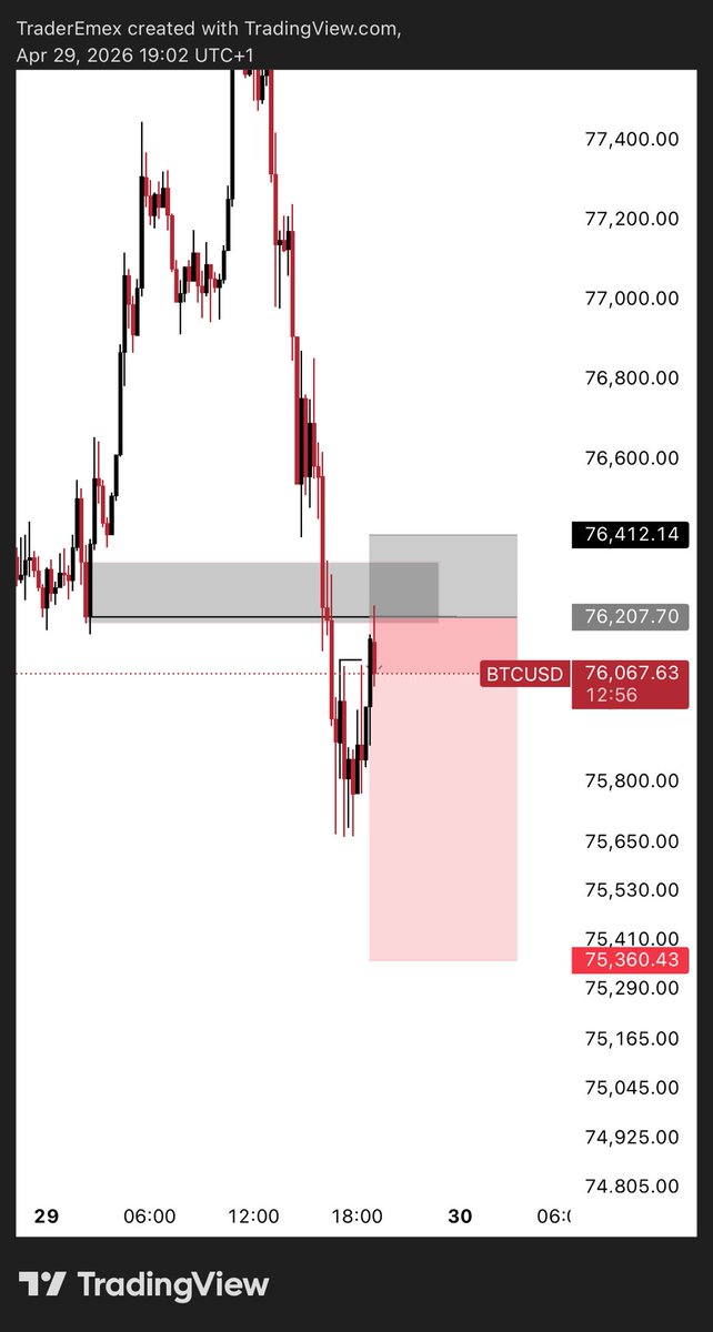 EMEX🤴 tweet media