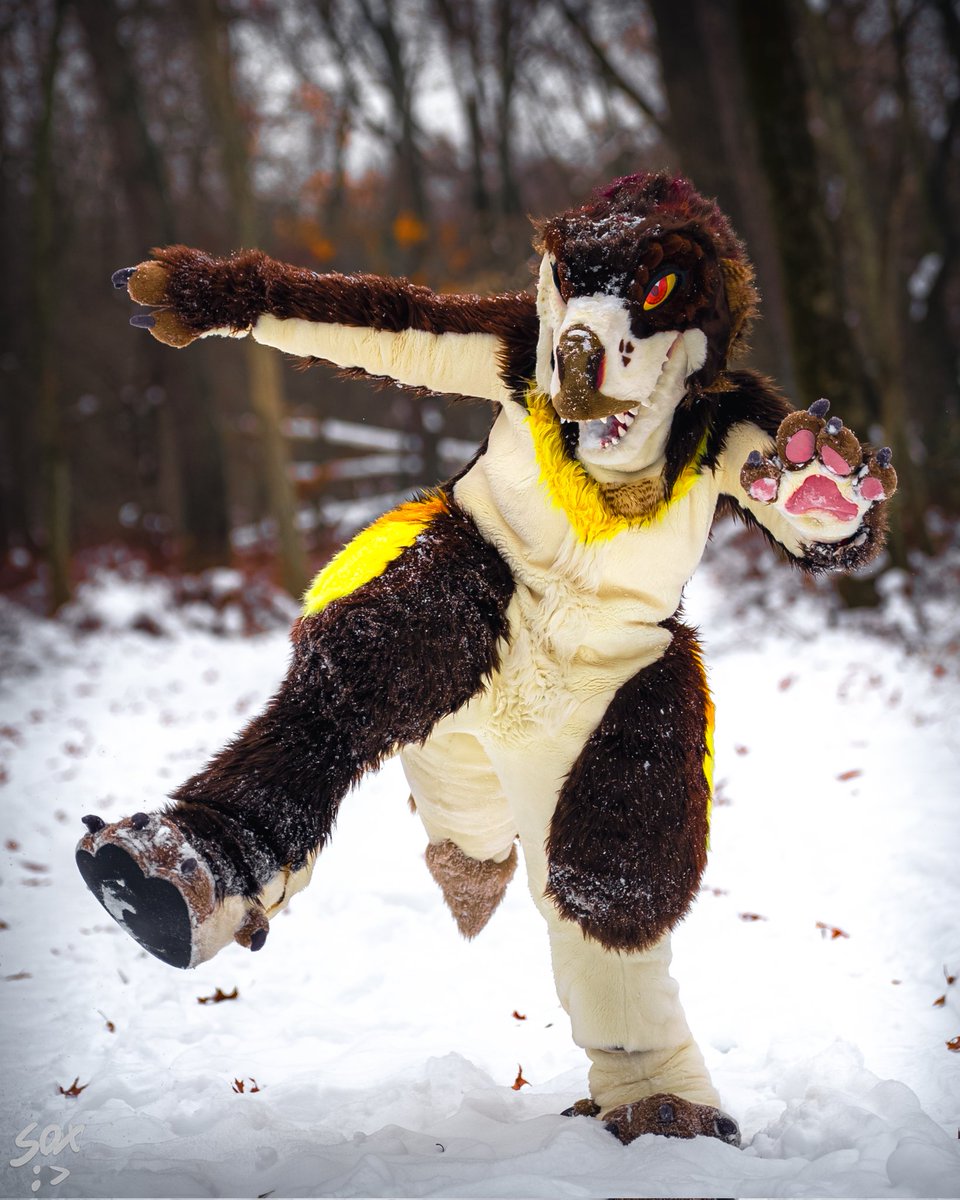 Melonlorrr's tweet image. THIS IS A PUBLIC SERVICE ANNOUNCEMENT!!!!!!

LOCAL DINOSAUR DEMANDS MORE SNOW IN TEXAS!!!!!!

🪡 @TheBeastcub &amp;amp; @NordstromKaiju 
📸 @SilySox 

#furry #snow #dinosaur #rwar