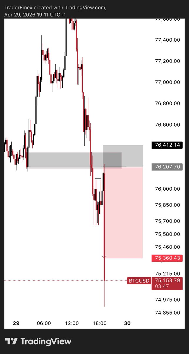 EMEX🤴 tweet media