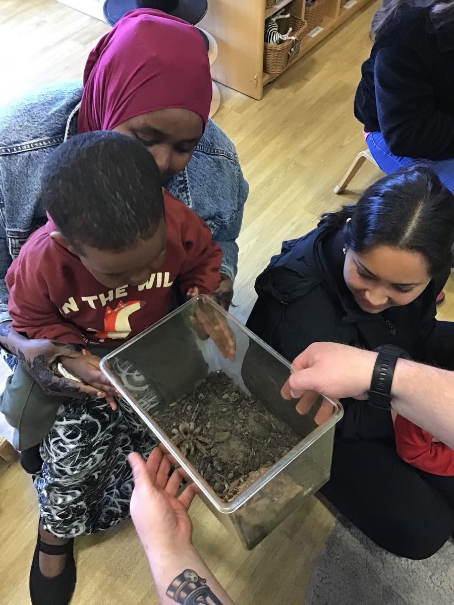 Ayresome Primary School tweet media