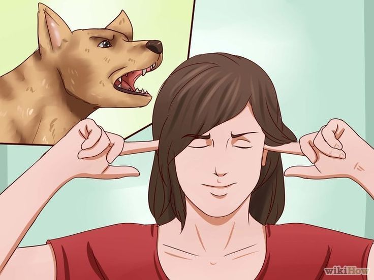 Christoph Siegfried tweet media