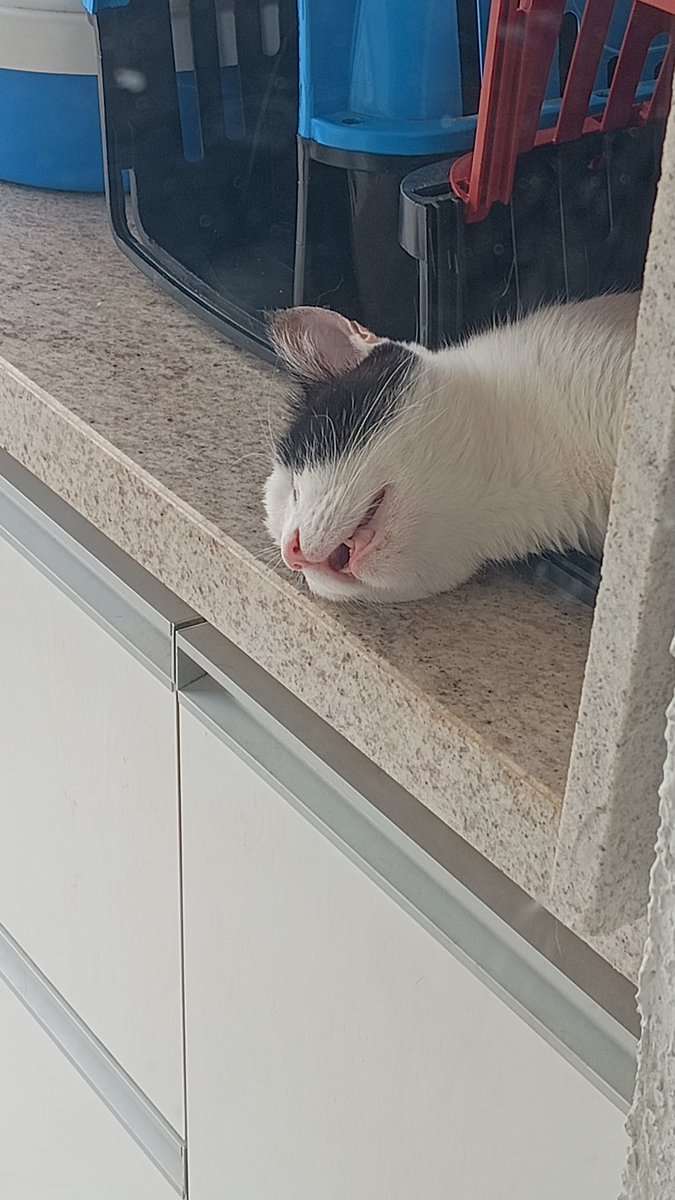 FORÇA POPULAR tweet media