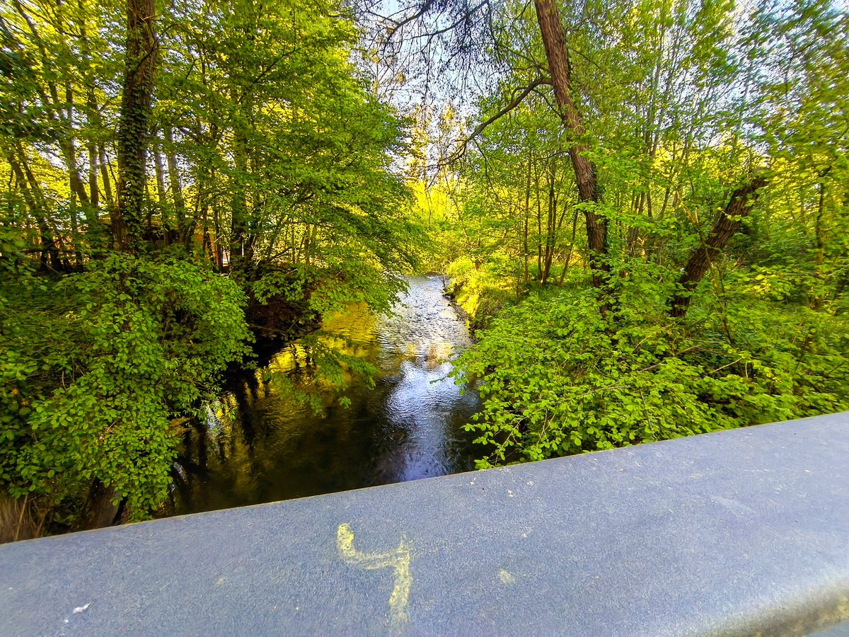 Lars 𖠰 tweet media