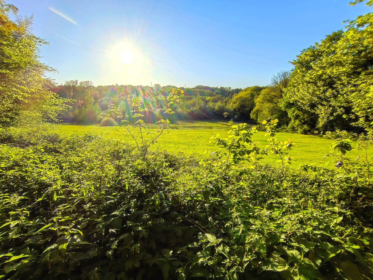 Lars 𖠰 tweet media