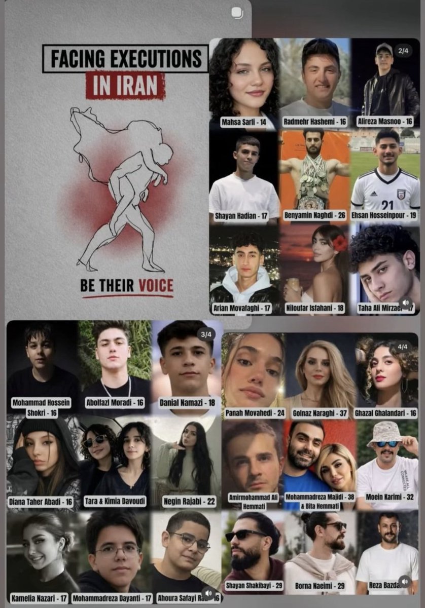 Arash Hampay tweet media