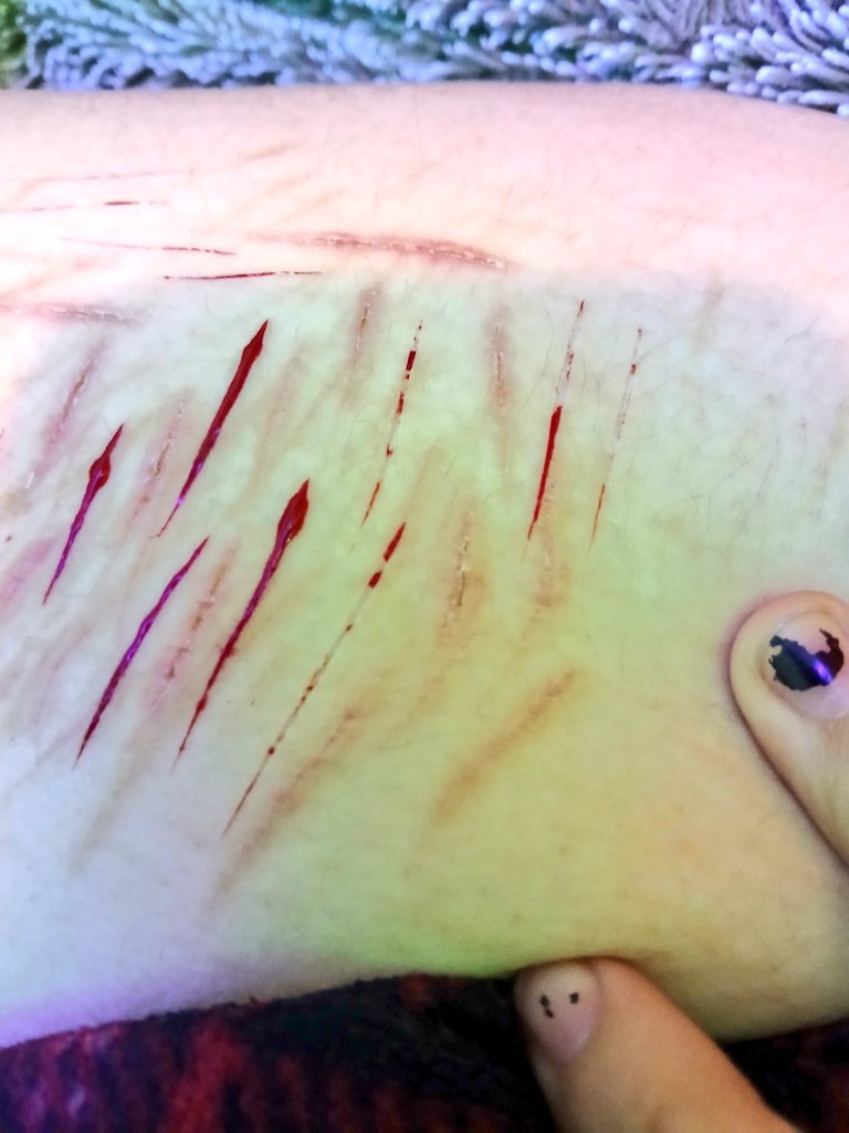 𓏲੭Kewtie of shedtwt𓏲𑁘 𓏲੭ tweet media