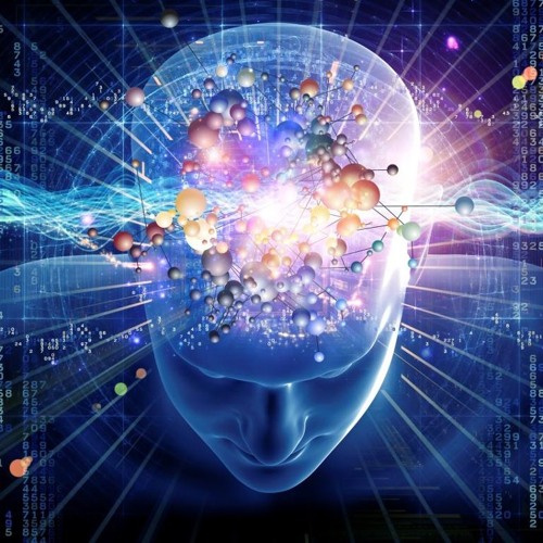 𝙺𝚊𝚒𝚎𝚗 𝚁𝚢𝚘𝚓𝚒𝚗 tweet media