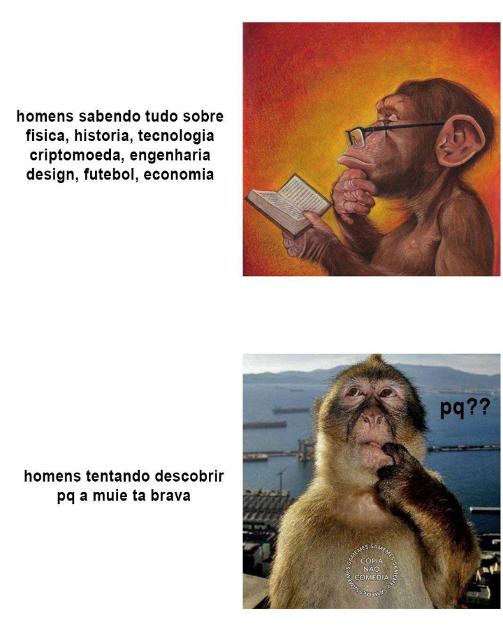 jpeg_memez's tweet photo. https://t.co/I3cm3GZbb9