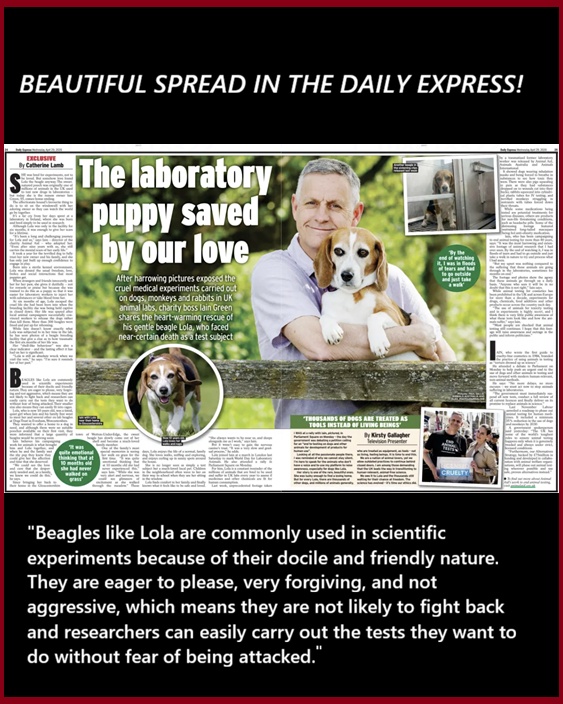 DawnWatch - Daily Animal World News Watch tweet media
