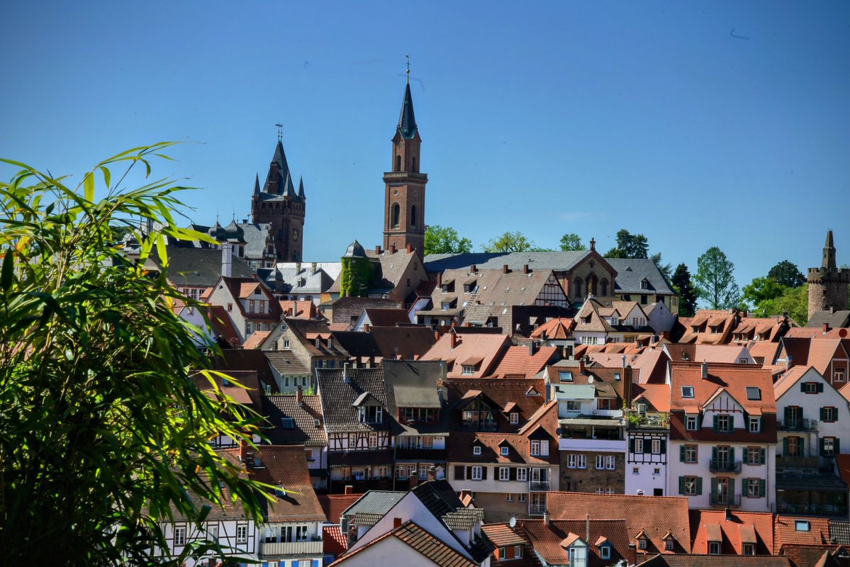 derliebeMichi #Mit49EuroUmDieWelt 🤍 tweet media