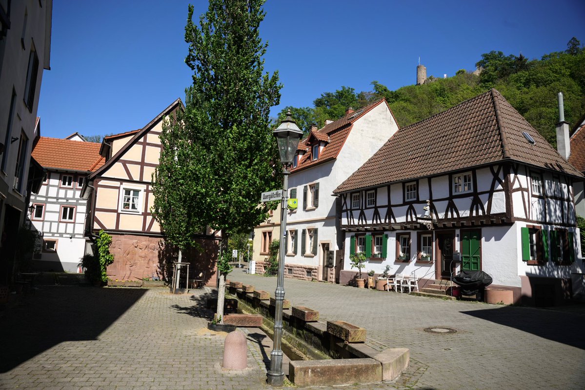 derliebeMichi #Mit49EuroUmDieWelt 🤍 tweet media