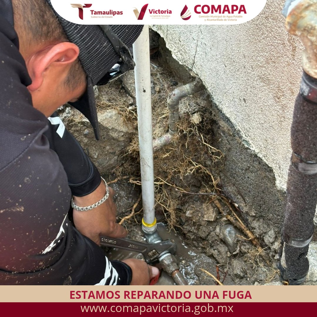 COMAPA Victoria tweet media