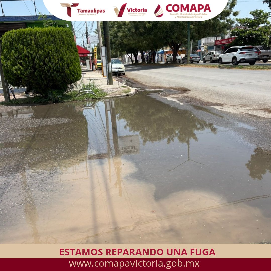 COMAPA Victoria tweet media
