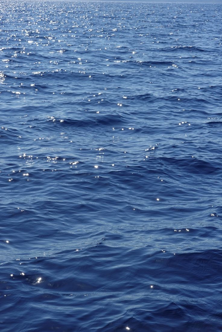 𝑝𝑢𝑟𝑒 tweet media