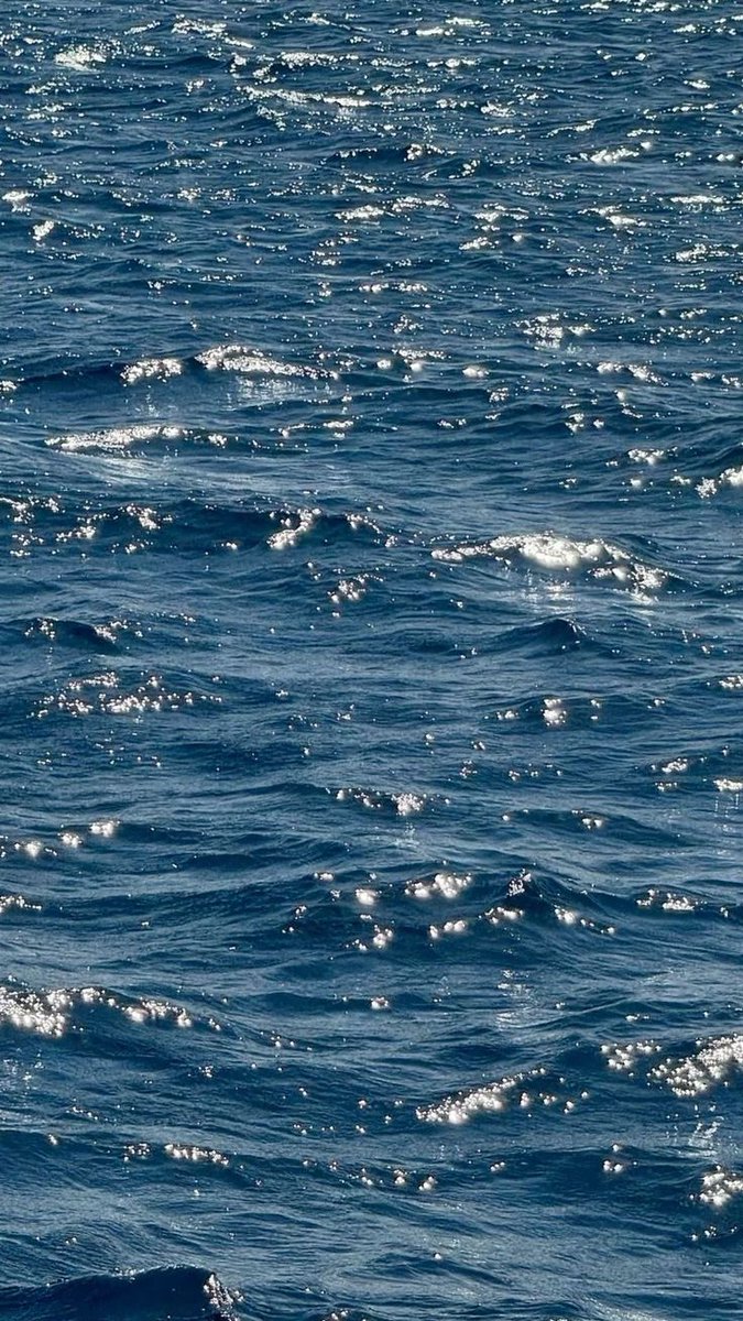 𝑝𝑢𝑟𝑒 tweet media