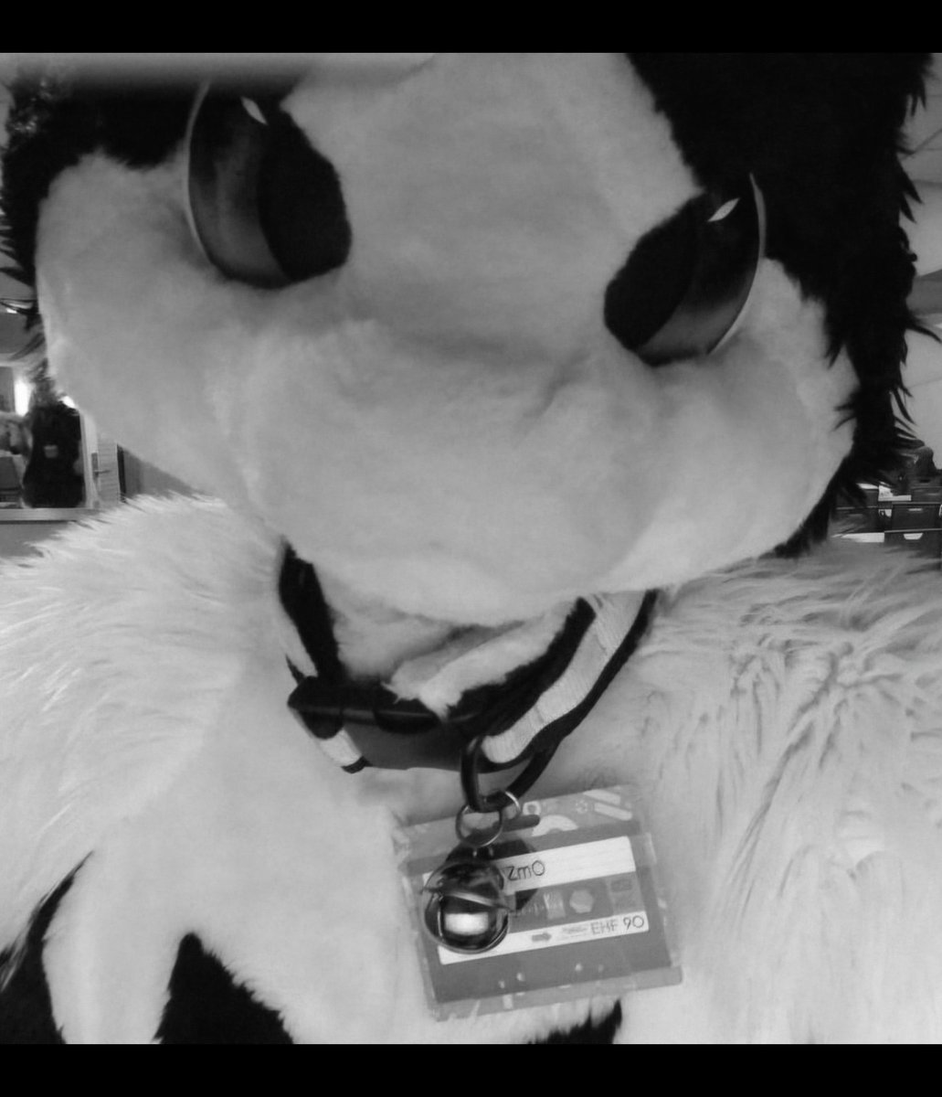 Gadget and Gizmo @ ???? tweet media