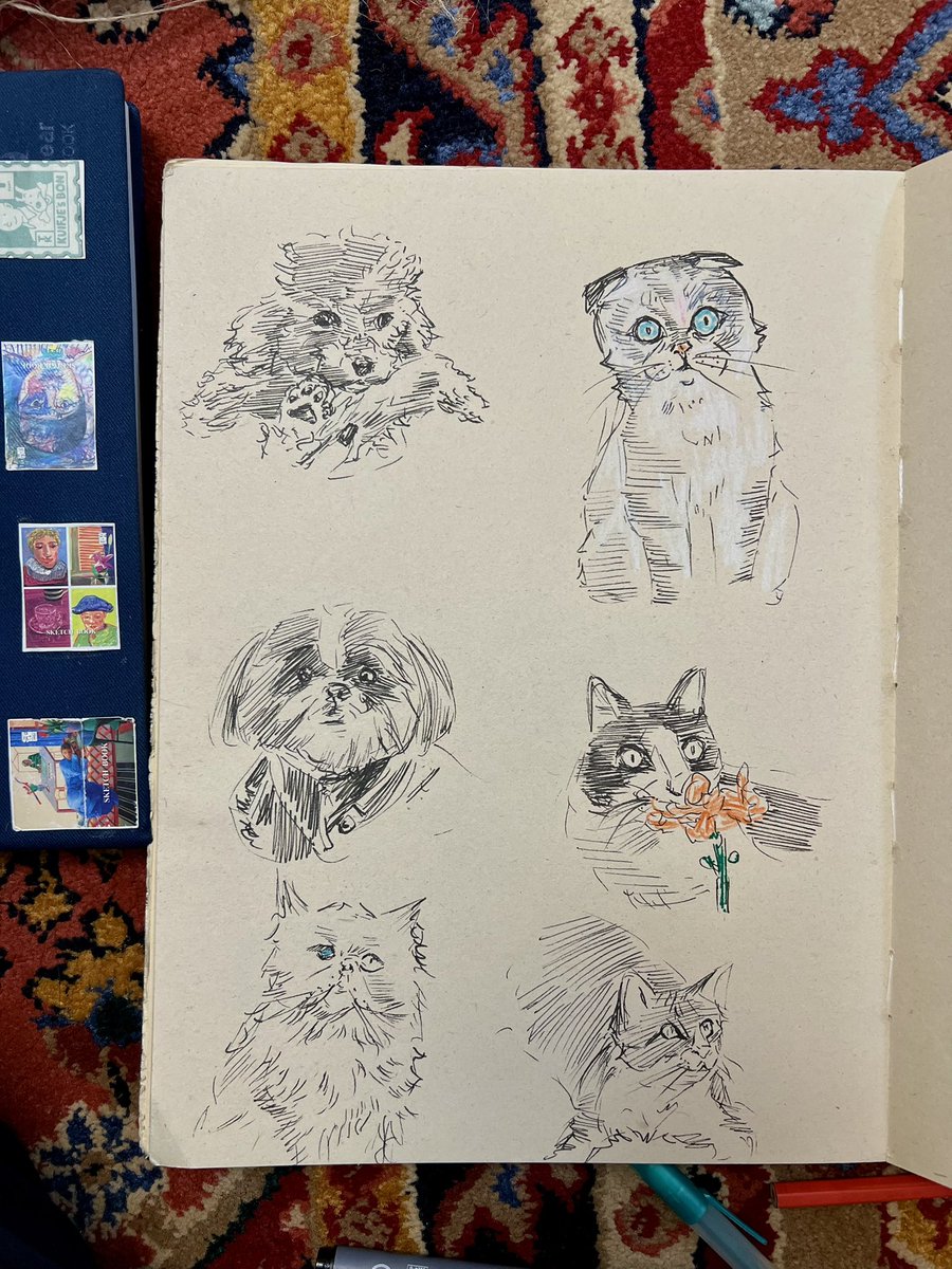 کفتر پاسکال tweet media