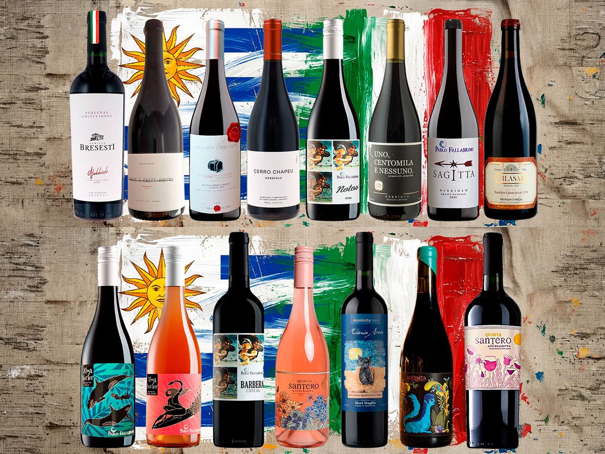 BdelU's tweet photo. Redescubriendo la tradizione italiana en Uruguay - Parte 1. En este primer informe presentamos 15 vinos uruguayos elaborados con variedades italianas, incluyendo Dolcetto, Barbera, Nebbiolo y Ancellotta con distintos estilos de elaboración.
https://t.co/enwu6dkQID https://t.co/er2ijIVHBD