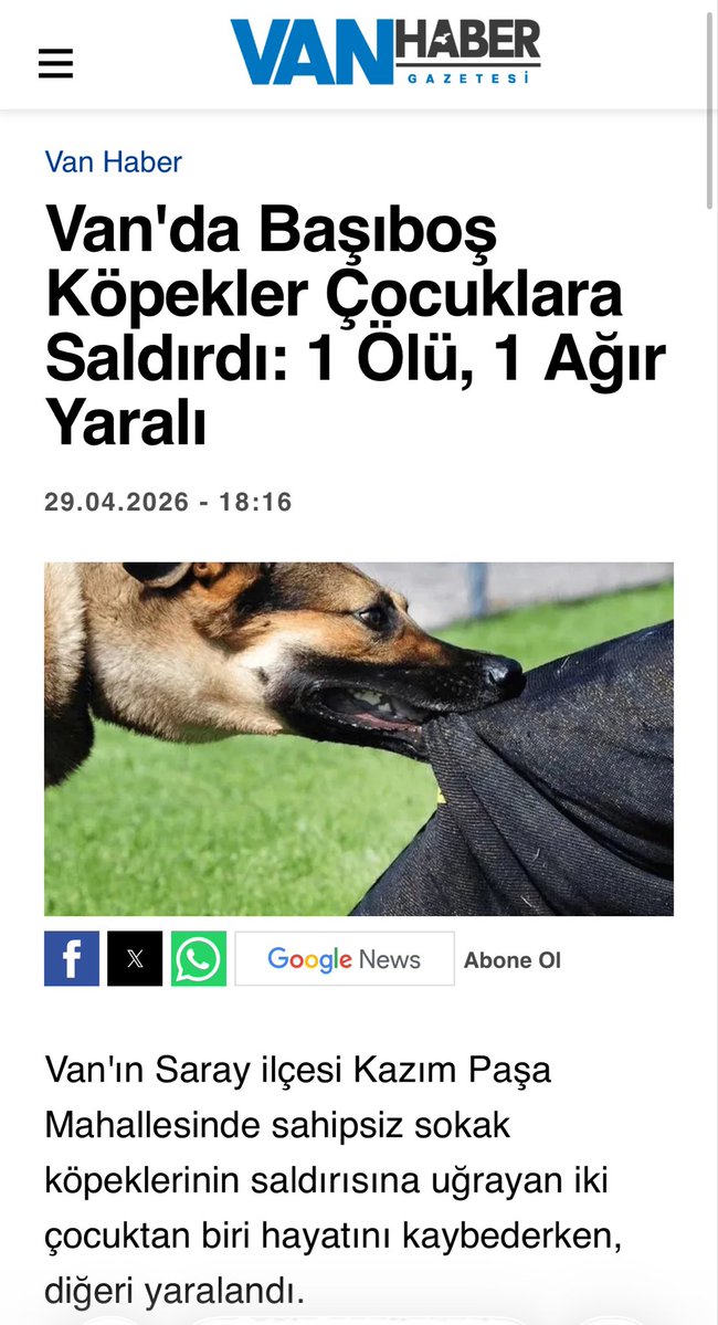 Prof.Dr. Nilüfer Sabuncuoğlu tweet media