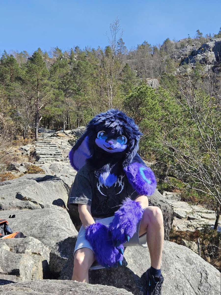LunaryTheBun 🔜 DCC, EF tweet media