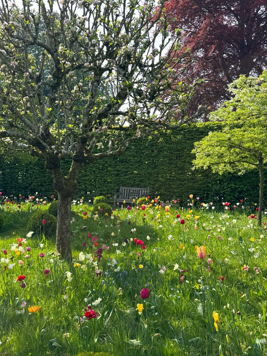 Purely Green tweet media