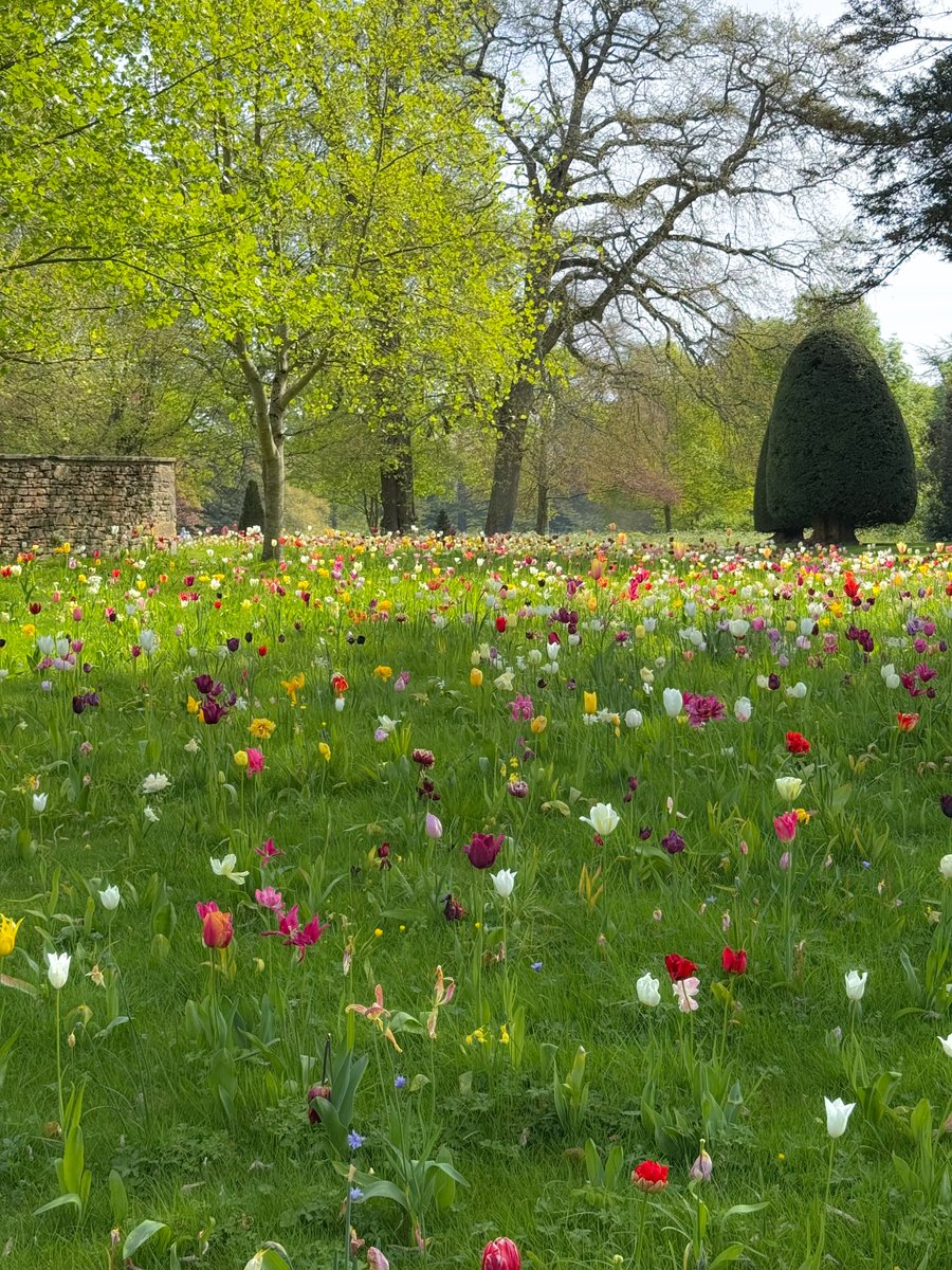 Purely Green tweet media