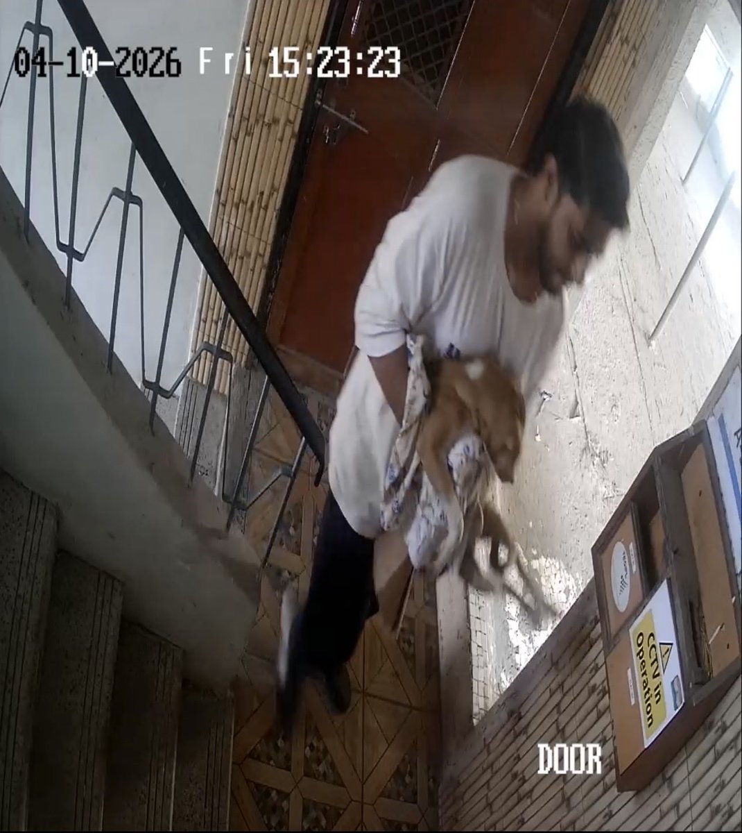 Vaib_Sriv27's tweet image. #Animal #AnimalRescue #AnimalsLover #AnimalAbuse #animalsmatter #AnimalLovers #AnimalRights @seematank2478 @Anupreetha52444 @ada_madhu from 10th April