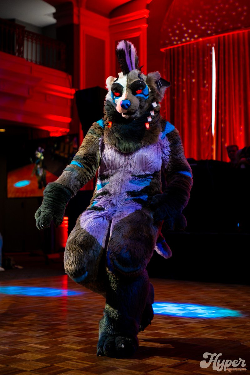 💀 Level 🔥🔜 Anthrocon tweet media